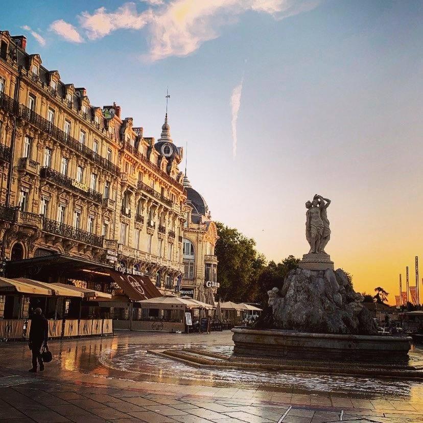Apartamento Le Havre De Paix Montpellierain - Terrasse Et Parking Prive Exterior foto